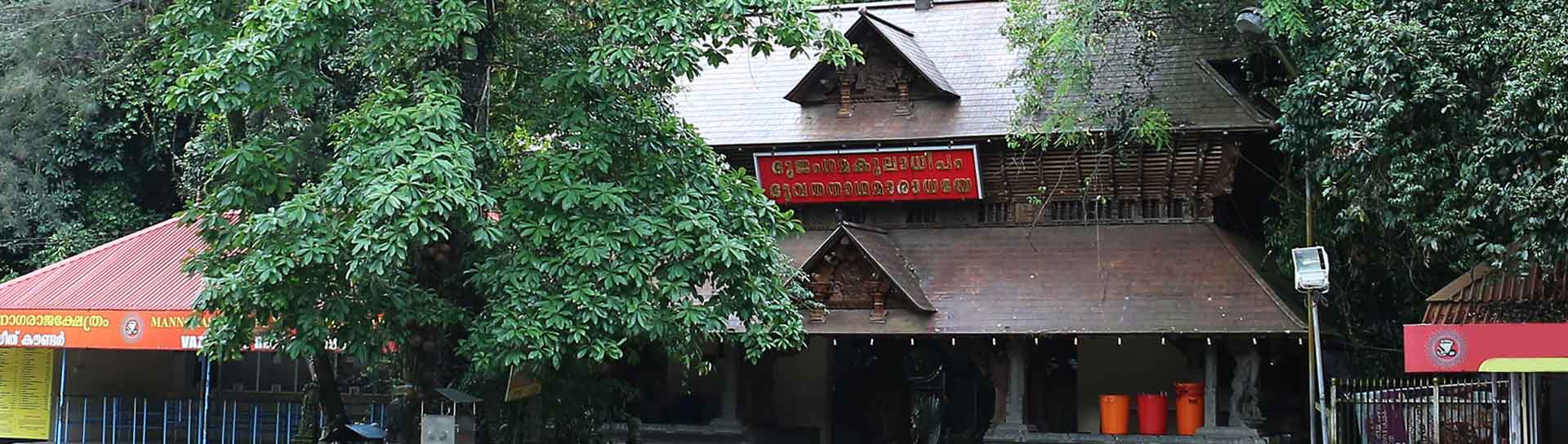 Mannarasala Sree Nagaraja Temple